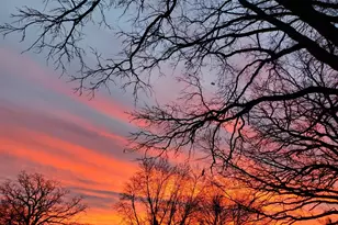 517 Springen Ave, Fergus Falls, MN 56537 - Photo 54