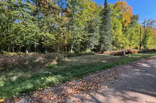 Tbd North Sherrys Arm Rd, Grand Rapids, MN 55744 - Photo 1