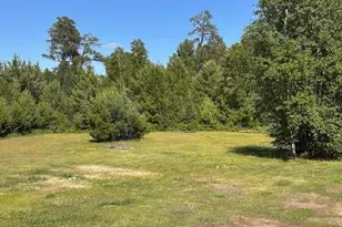 1383 Kelly Trail, Isabella, MN 55607 - Photo 24