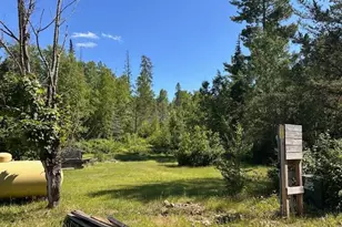 1383 Kelly Trail, Isabella, MN 55607 - Photo 28