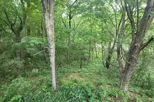 4893X Woodhurst Ln, Minnetonka, MN 55345 - Photo 6