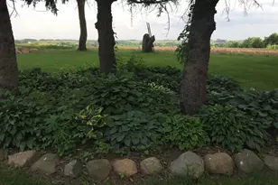 12520 440th St, Wanamingo, MN 55983 - Photo 34