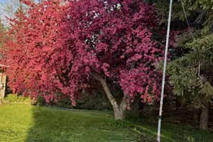 12520 440th St, Wanamingo, MN 55983 - Photo 12