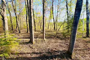 Tbd Mallard Pl, Sandstone, MN 55072 - Photo 1