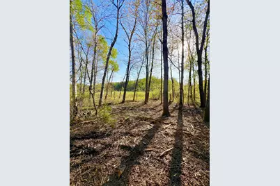 Tbd Mallard Place, Sandstone, MN 55072 - Photo 2