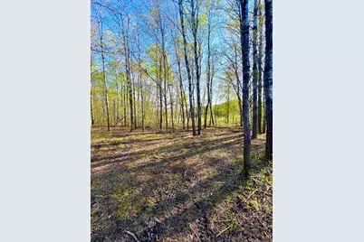 Tbd Mallard Place, Sandstone, MN 55072 - Photo 4