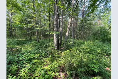 W8804 Timber Trail, Ladysmith, WI 54848 - Photo 2