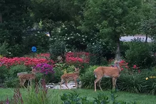 2619 Tuxedo Ln NW, Rochester, MN 55901 - Photo 32