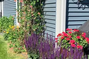 2619 Tuxedo Ln NW, Rochester, MN 55901 - Photo 30