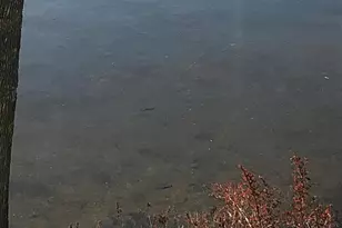 9849 Maple Ridge Rd, Garrison, MN 56450 - Photo 32