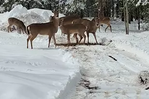 6491 S Old Lyman Lake Rd, South Range, WI 54874 - Photo 34