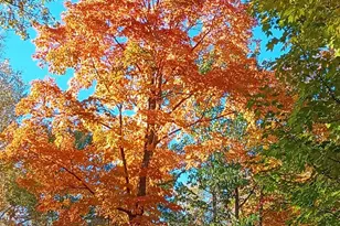 6491 S Old Lyman Lake Rd, South Range, WI 54874 - Photo 44