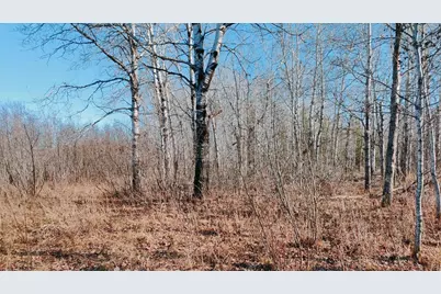 10478 Leander Road, Angora, MN 55703 - Photo 28