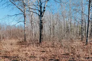 10478 Leander Rd, Angora, MN 55703 - Photo 28