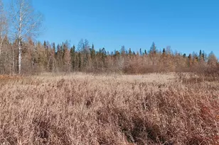 10478 Leander Rd, Angora, MN 55703 - Photo 28