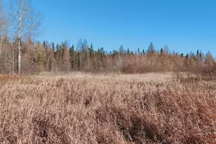 10478 Leander Rd, Angora, MN 55703 - Photo 26