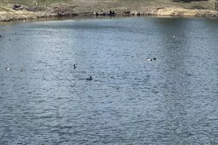 14075 Dartmouth Path, Rosemount, MN 55068 - Photo 44