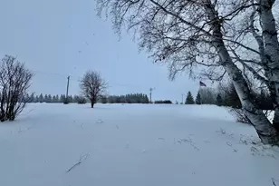 1398 4th St NW, Baudette, MN 56623 - Photo 52