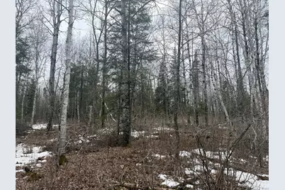Tbd Three Bridges Rd., Cook, MN 55723 - Photo 38
