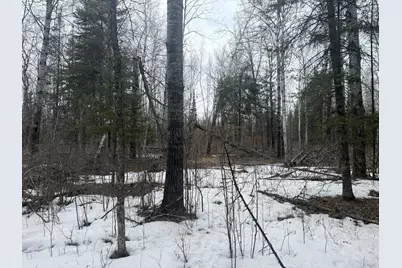 Tbd Three Bridges Rd., Cook, MN 55723 - Photo 36