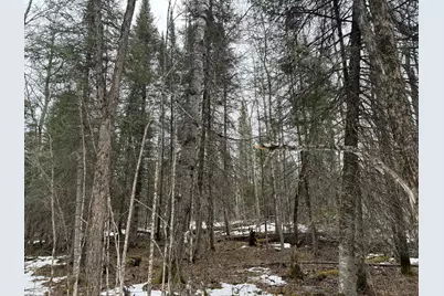 Tbd Three Bridges Rd., Cook, MN 55723 - Photo 42