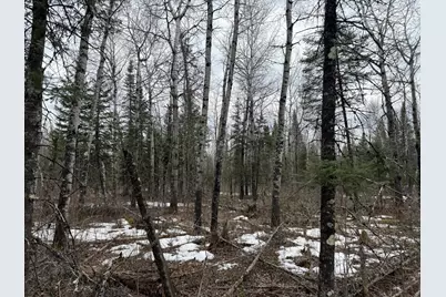 Tbd Three Bridges Rd., Cook, MN 55723 - Photo 40