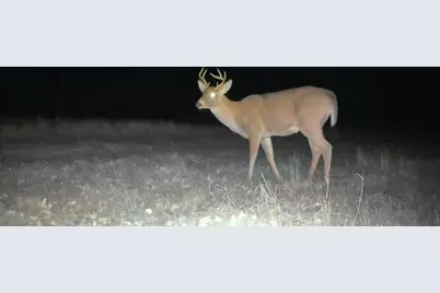 9298 Hingeley Road, Meadowlands, MN 55765 - Photo 36