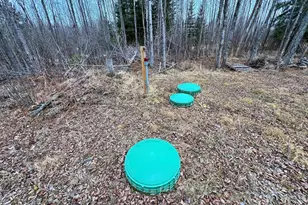 9298 Hingeley Rd, Meadowlands, MN 55765 - Photo 30