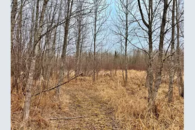 9298 Hingeley Road, Meadowlands, MN 55765 - Photo 24