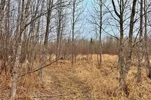 9298 Hingeley Rd, Meadowlands, MN 55765 - Photo 24