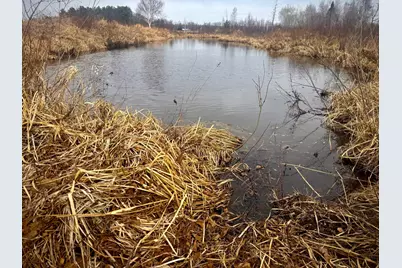 2022 Dixon Line Road, Finlayson, MN 55735 - Photo 64