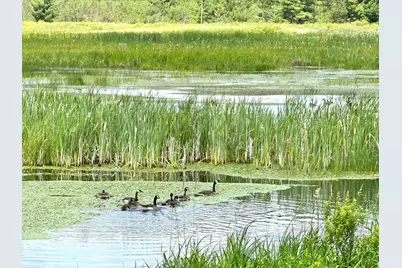 2022 Dixon Line Road, Finlayson, MN 55735 - Photo 44