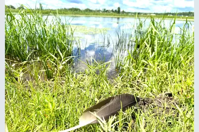 2022 Dixon Line Road, Finlayson, MN 55735 - Photo 60