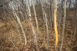 2022 Dixon Line Rd, Finlayson, MN 55735 - Photo 1