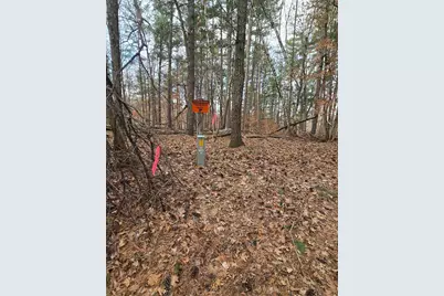 31767 Deacons Way, Pequot Lakes, MN 56472 - Photo 18