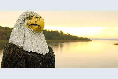 952 River Drive NW, Bena, MN 56626 - Photo 30