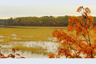 952 River Drive NW, Bena, MN 56626 - Photo 34