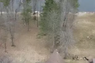 35851 442nd Ln, Aitkin, MN 56431 - Photo 1