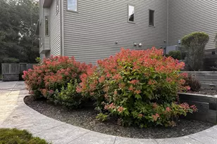 24525 112th St NW, Zimmerman, MN 55398 - Photo 38