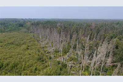 Tbd 40 Acres Sunflower, Kelliher, MN 56650 - Photo 6