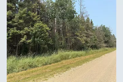 Tbd 40 Acres Sunflower, Kelliher, MN 56650 - Photo 2