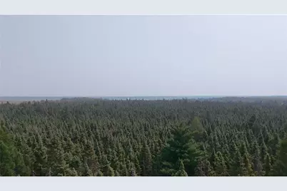 Tbd 40 Acres Sunflower, Kelliher, MN 56650 - Photo 10