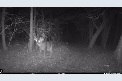 5060 County Road B, La Follette Township, WI 54837 - Photo 44