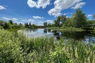 59923 Co Rd 261, Bigfork, MN 56628 - Photo 14
