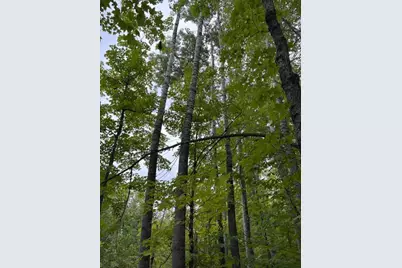 64838 Kingsdale Road, Sandstone, MN 55072 - Photo 2
