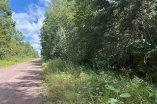 64838 Kingsdale Rd, Sandstone, MN 55072 - Photo 1