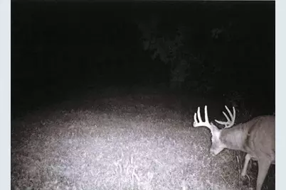 S2901 Semling Lane, Fountain City, WI 54629 - Photo 56