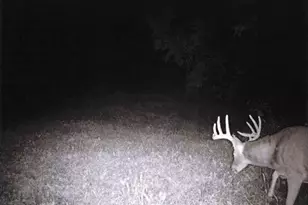 S2901 Semling Ln, Fountain City, WI 54629 - Photo 56