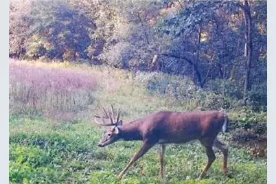 S2901 Semling Lane, Fountain City, WI 54629 - Photo 106