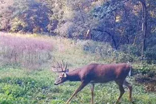 S2901 Semling Ln, Fountain City, WI 54629 - Photo 106